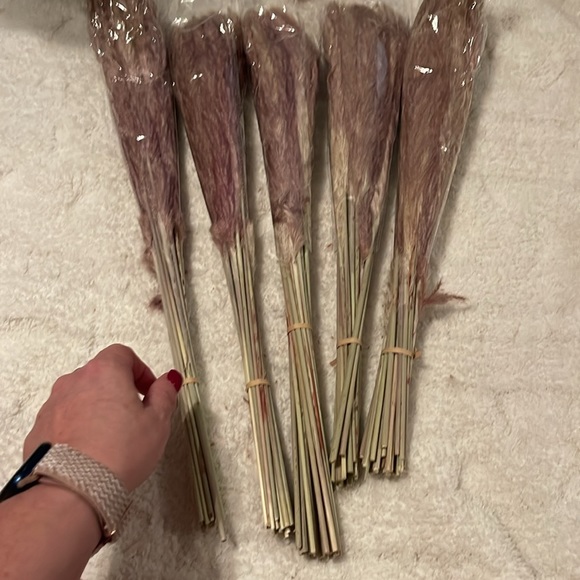 Pampas grass new in wrapper but no box each set comes with 20 pieces - Picture 2 of 2
